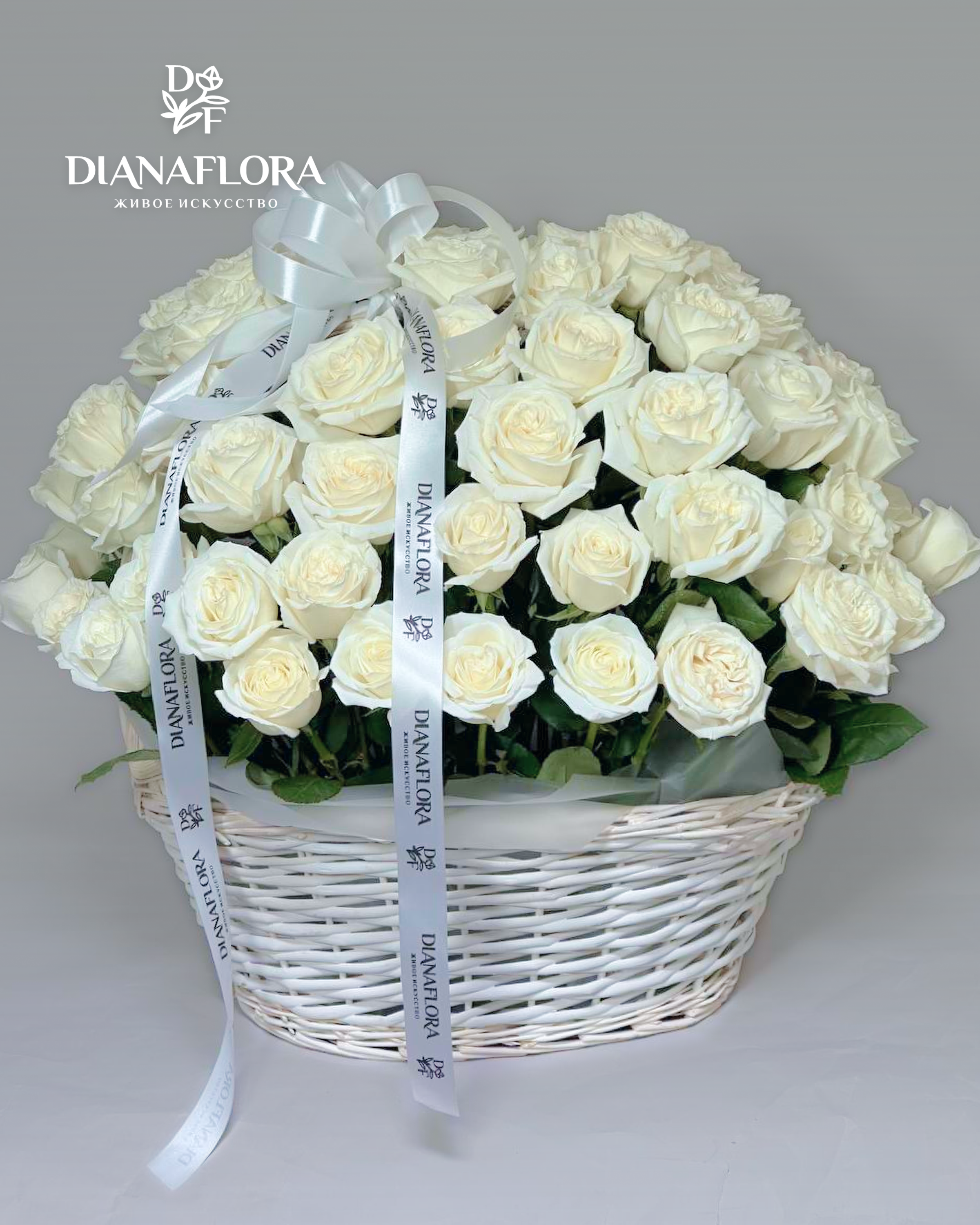 Корзина из 71 белой розы