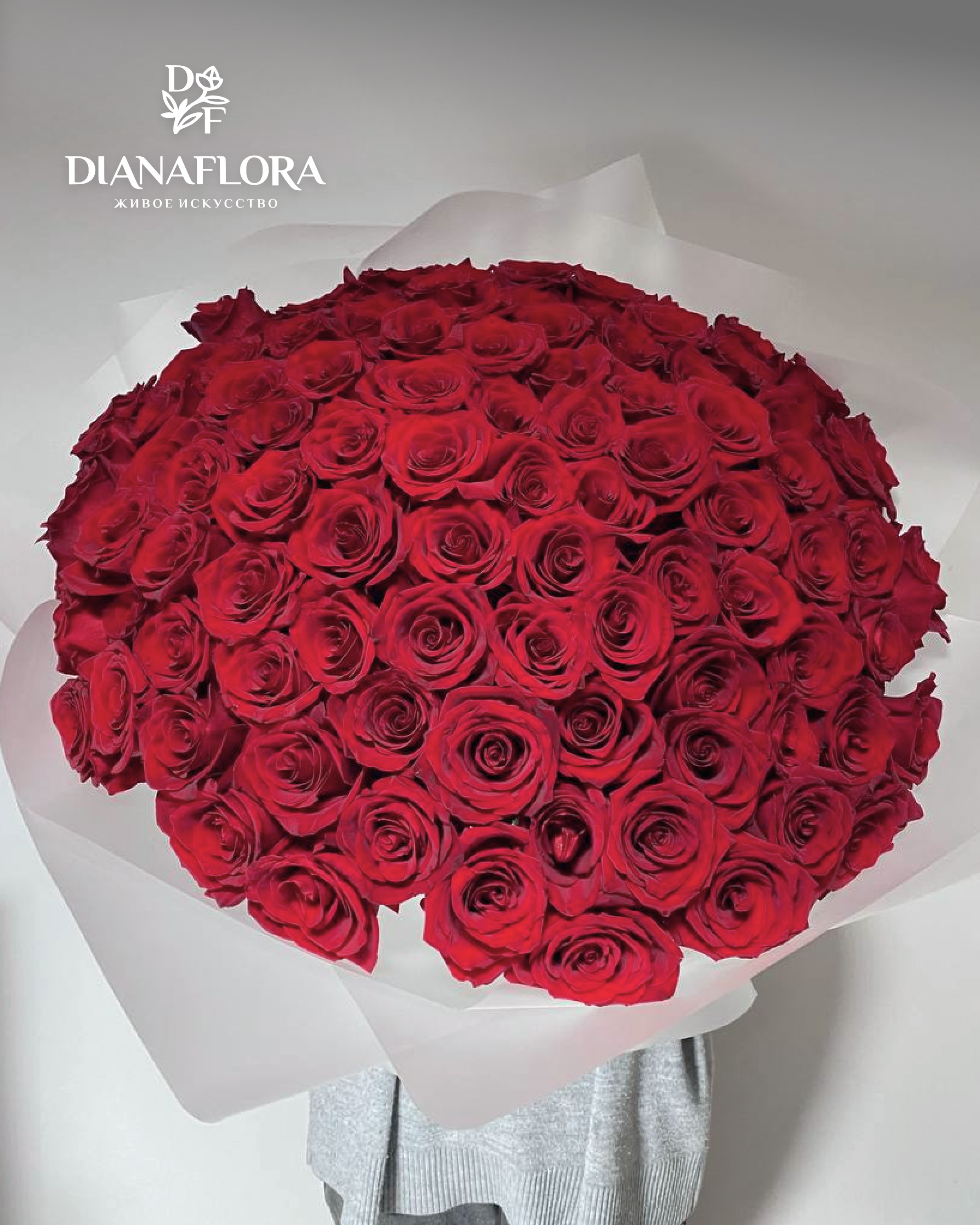 Букет из Красных роз Эквадор